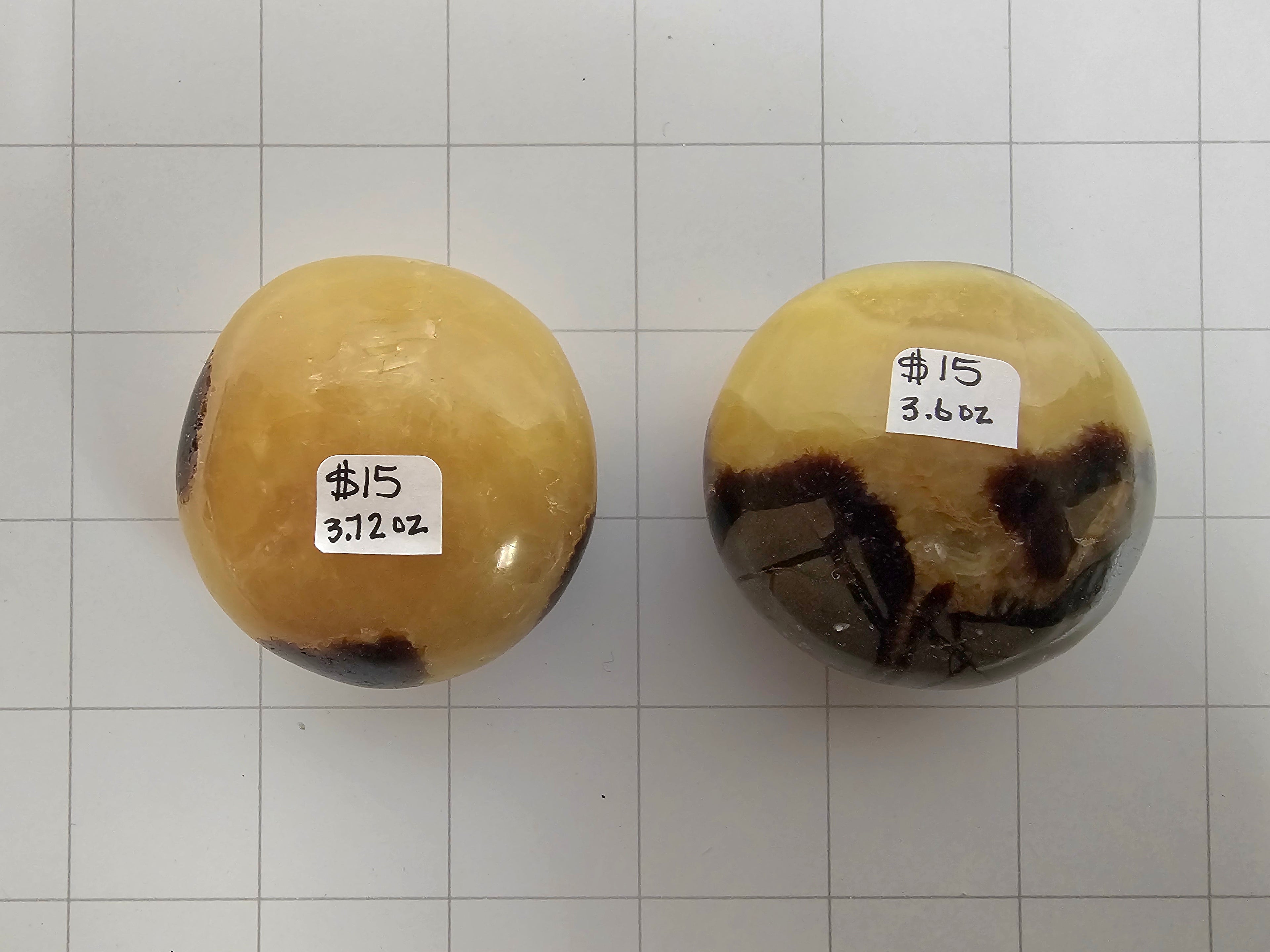 Septarian Palm stones
