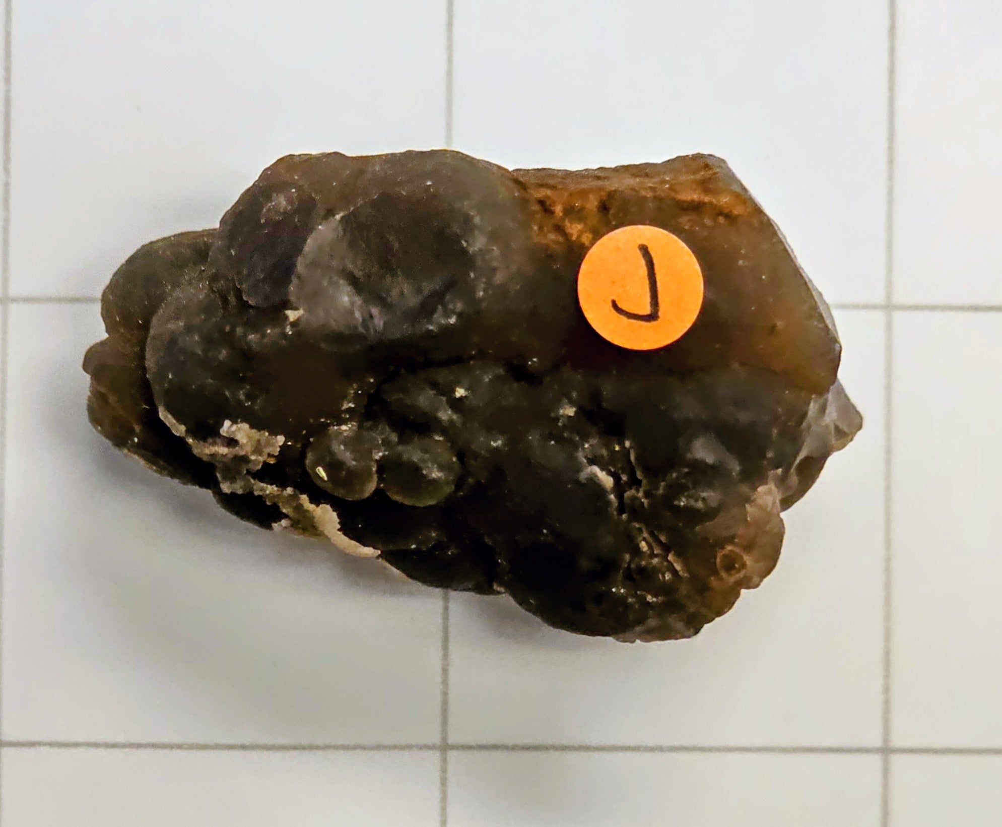 Egyptian Panda Agate