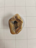 Lake Superior Geode