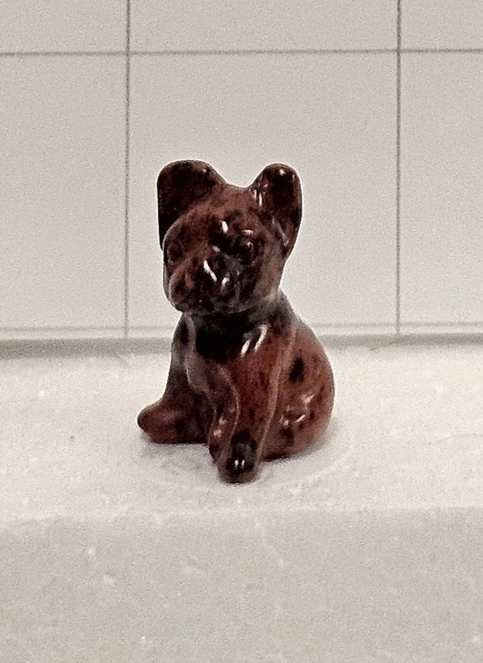 Mahogany Obsidian Puppy