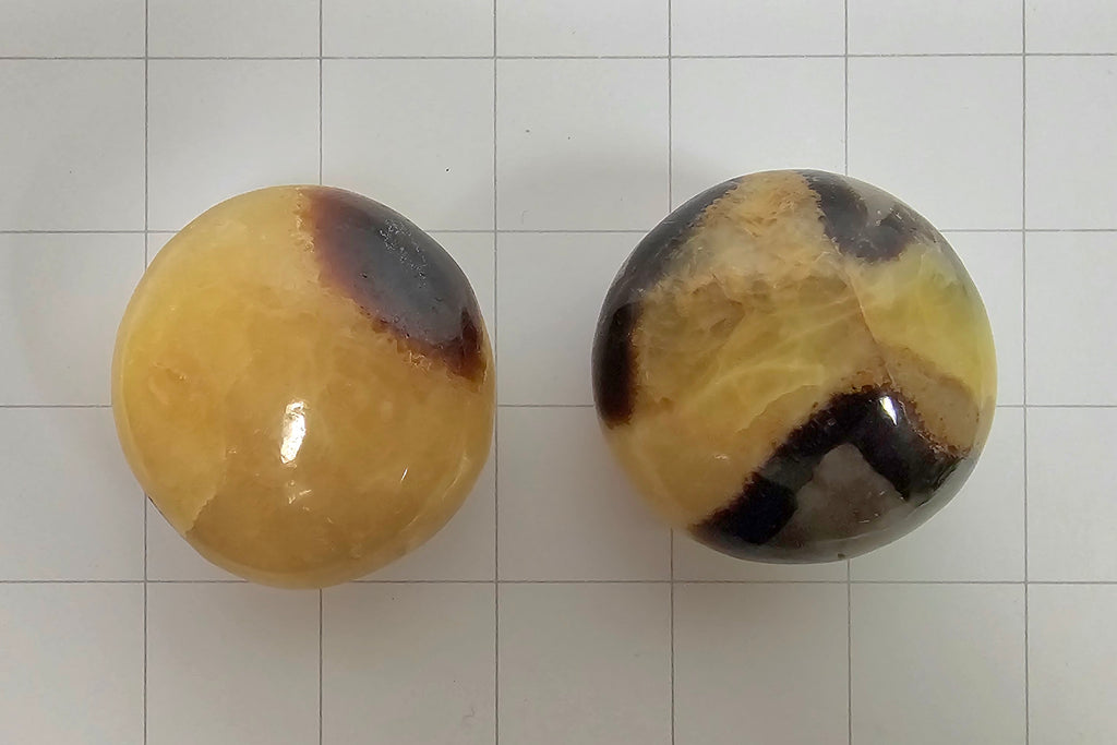 Septarian Palm stones