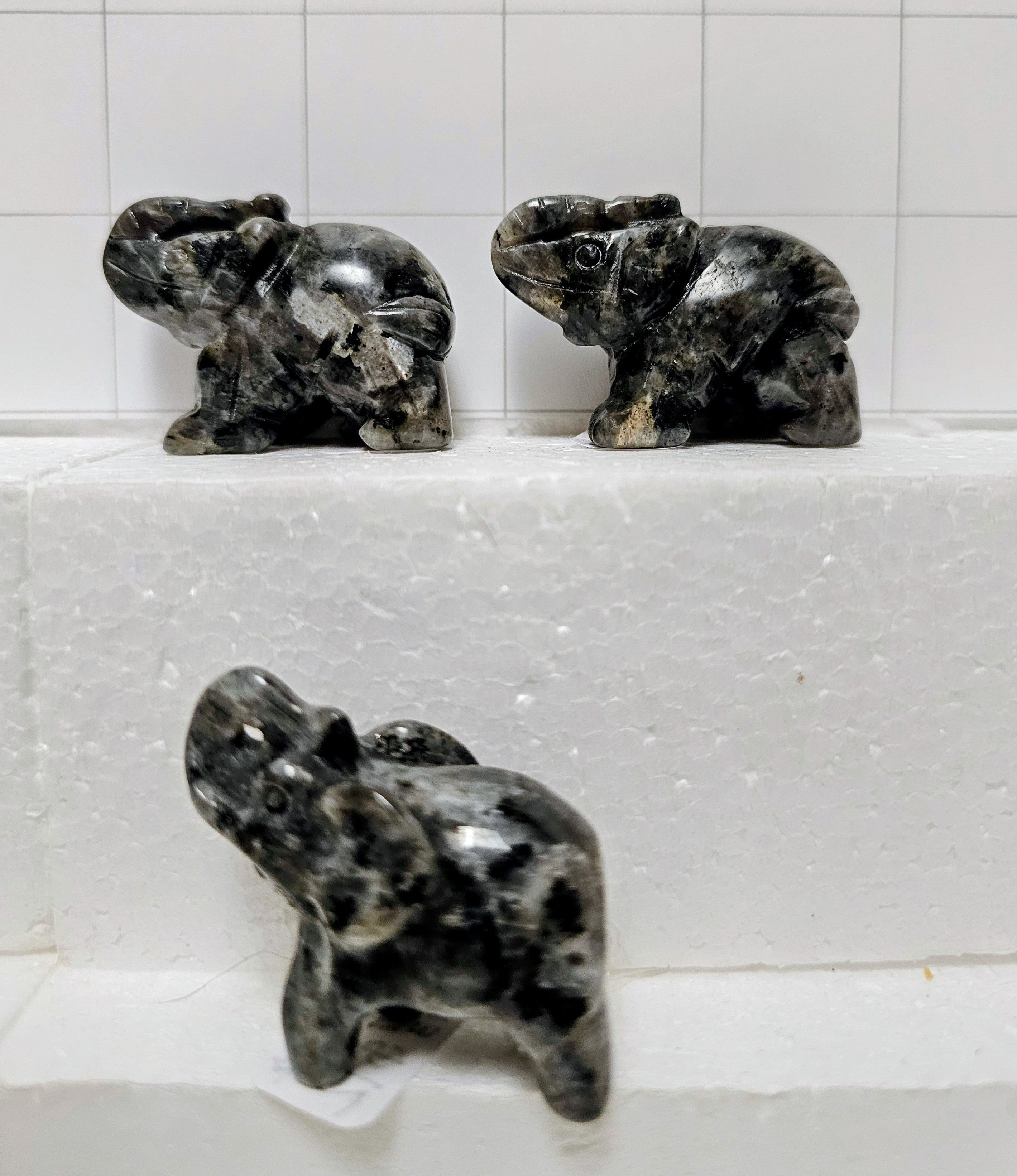 Larvakite Elephants