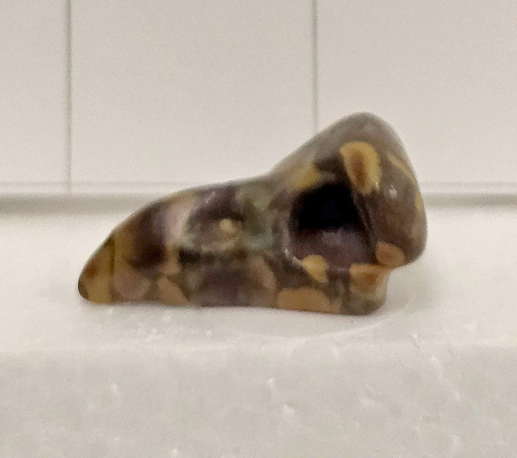 Fruit Jasper Raven Skull