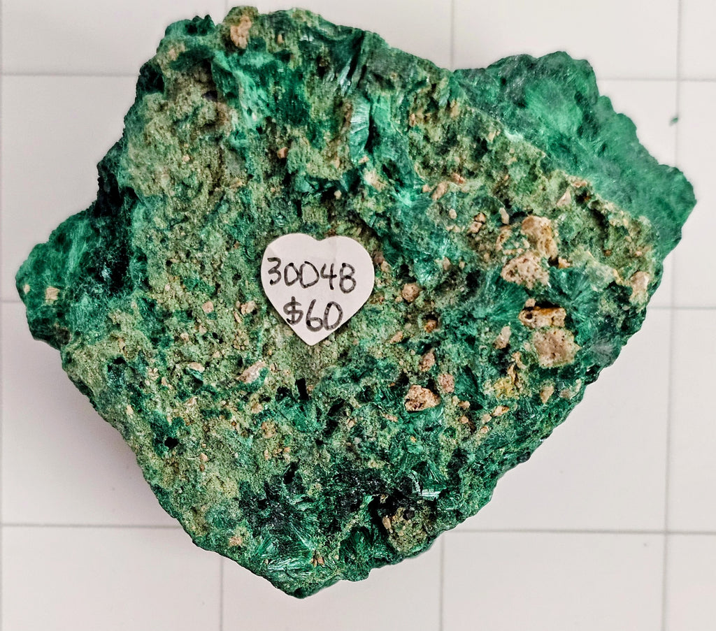 Velvet Malachite