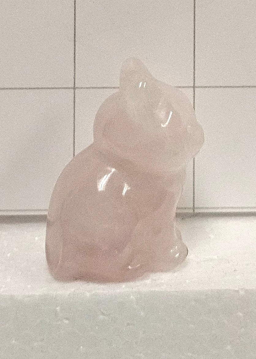 Rose Quartz kitten