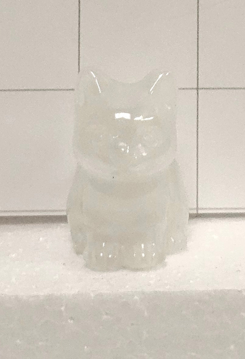 Snow Quartz Kitten