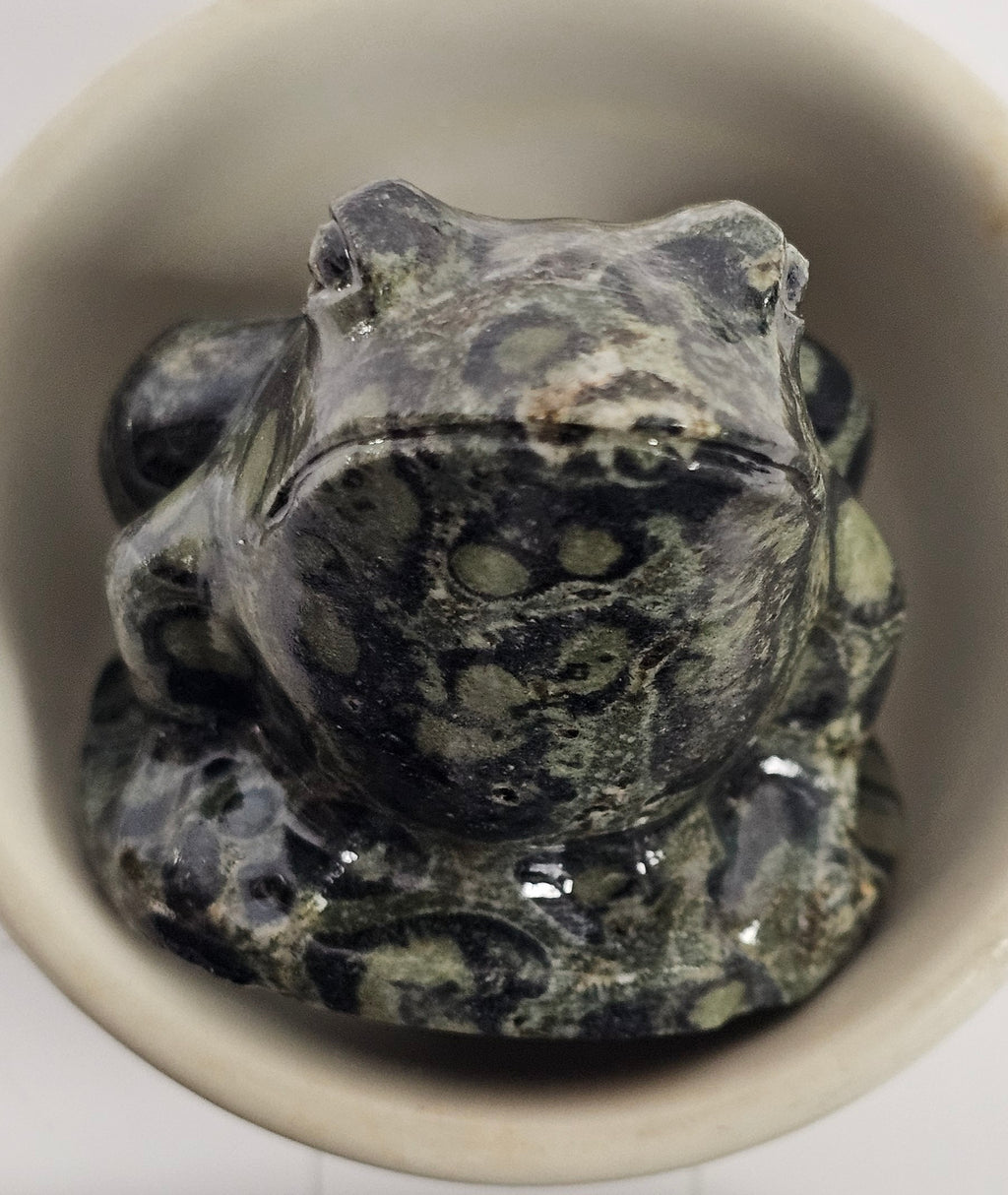 Kambaba Jasper Frog