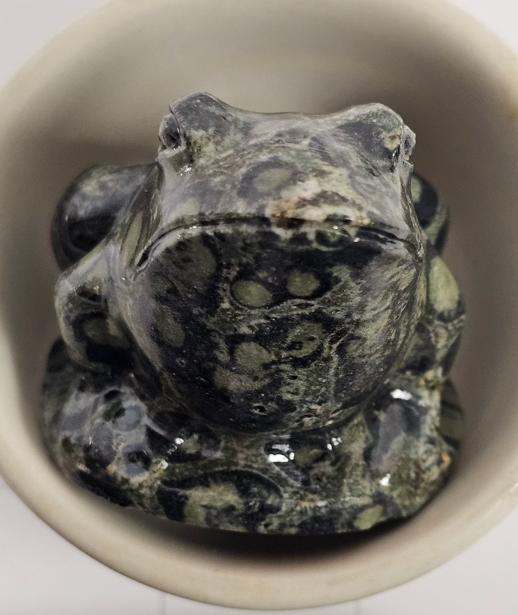 Kambaba Jasper Frog