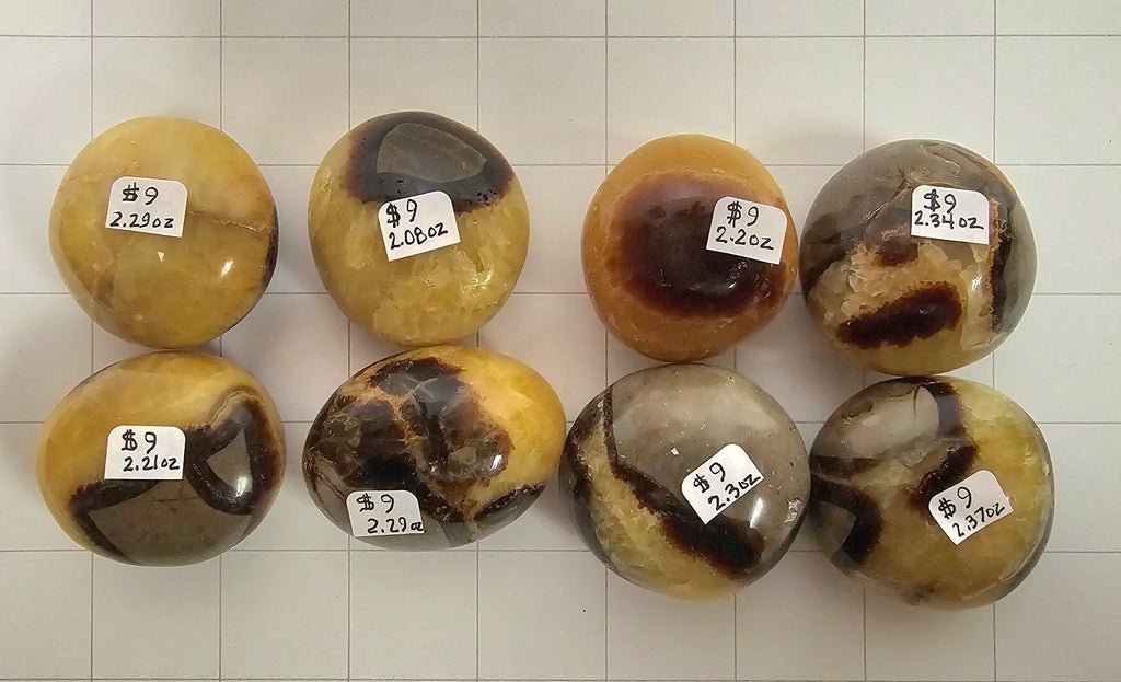 Septarian Palm stones