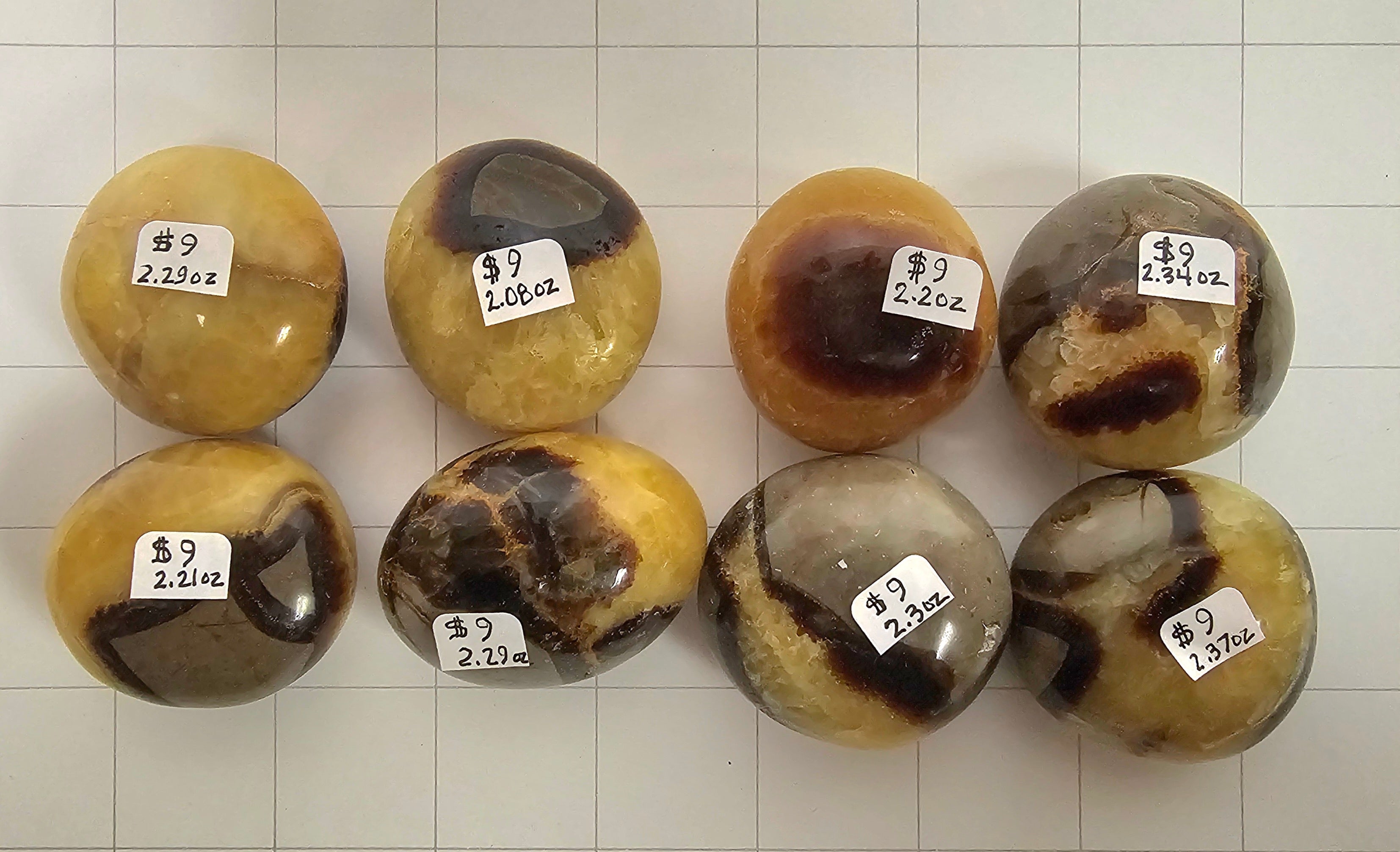 Septarian Palm stones