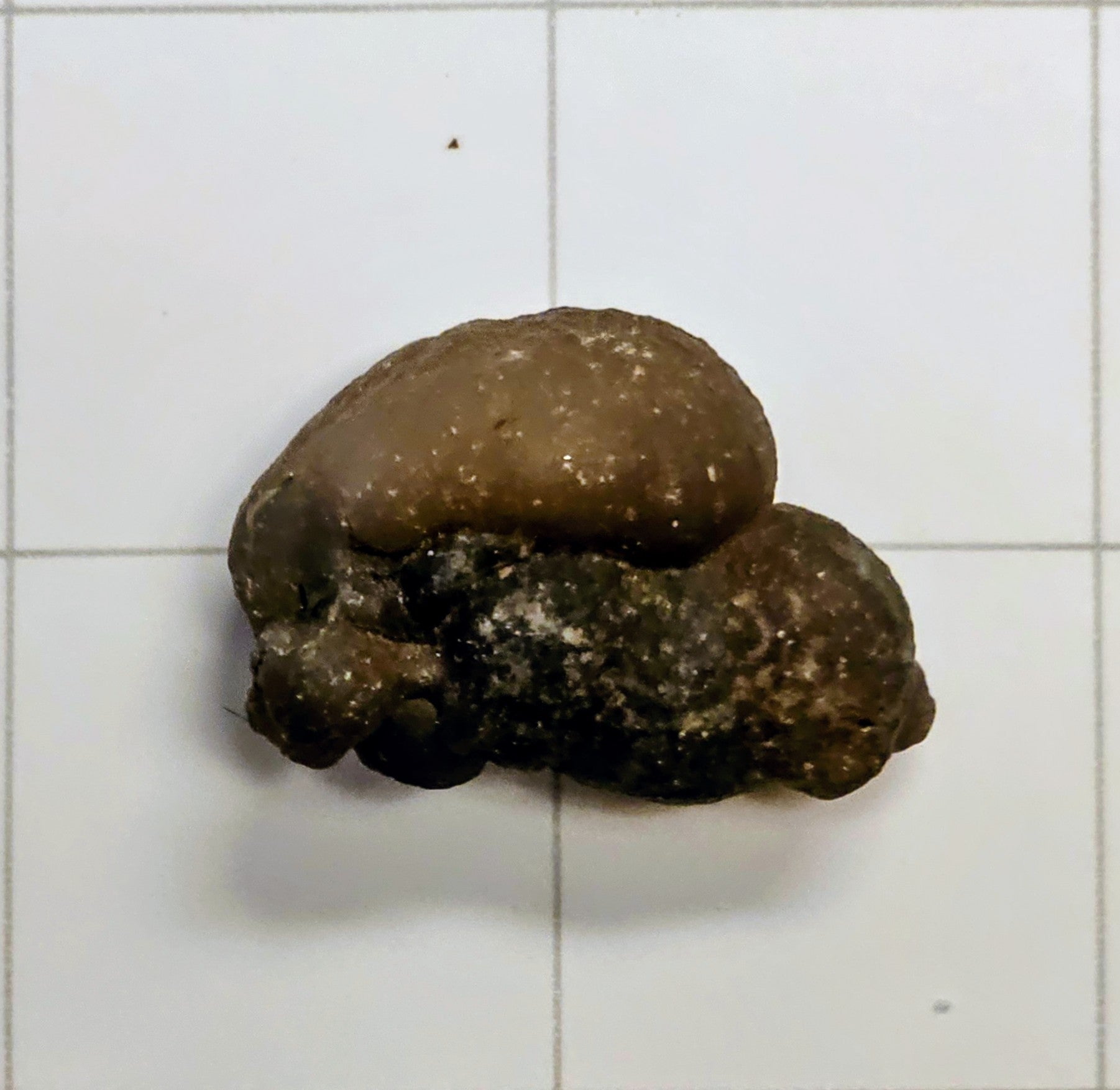 Egyptian Panda Agate