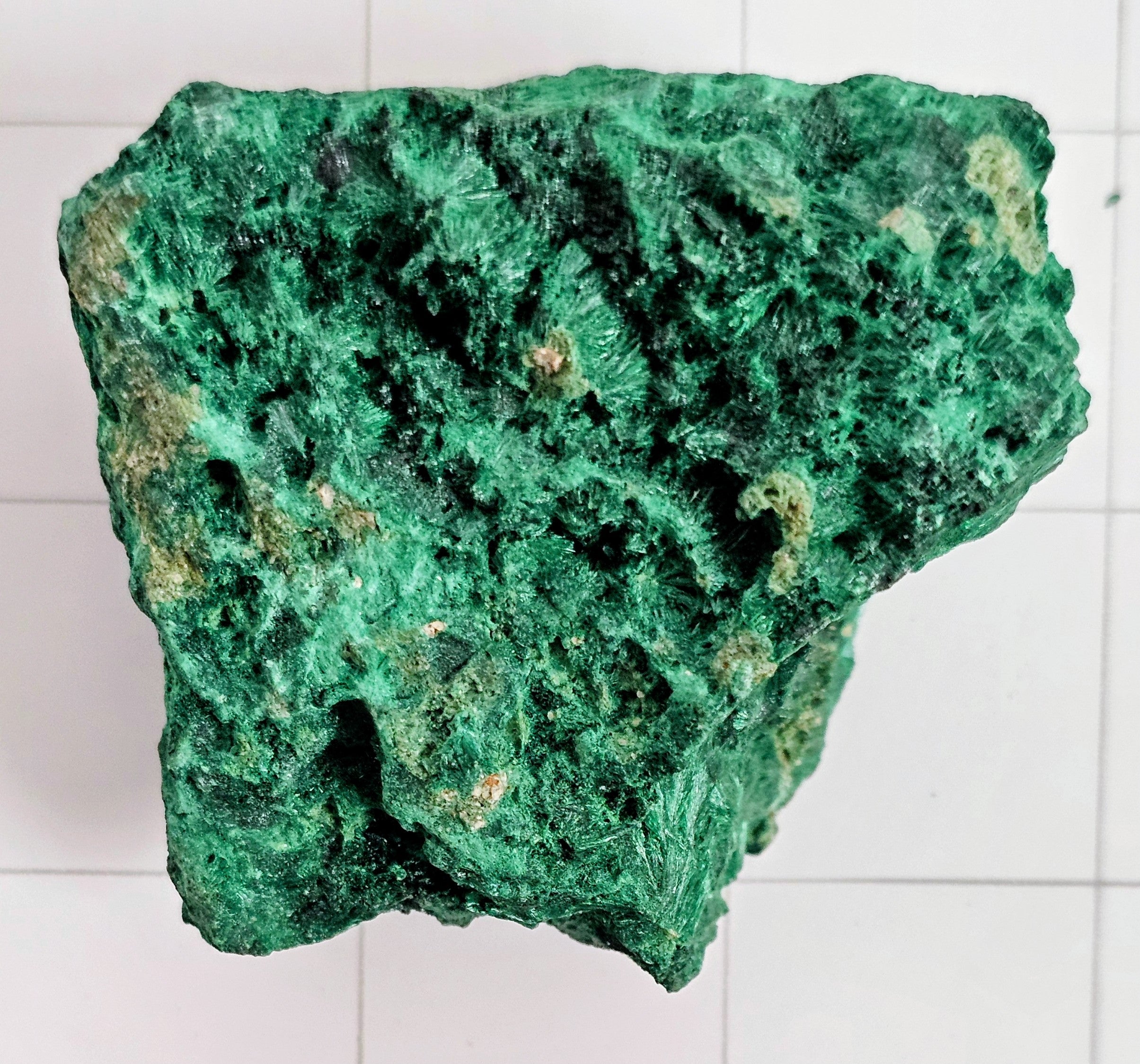 Velvet Malachite