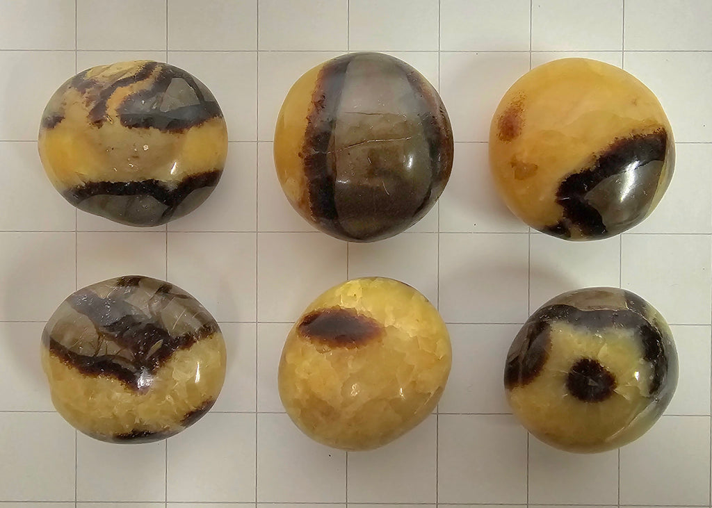 Septarian Palm stones