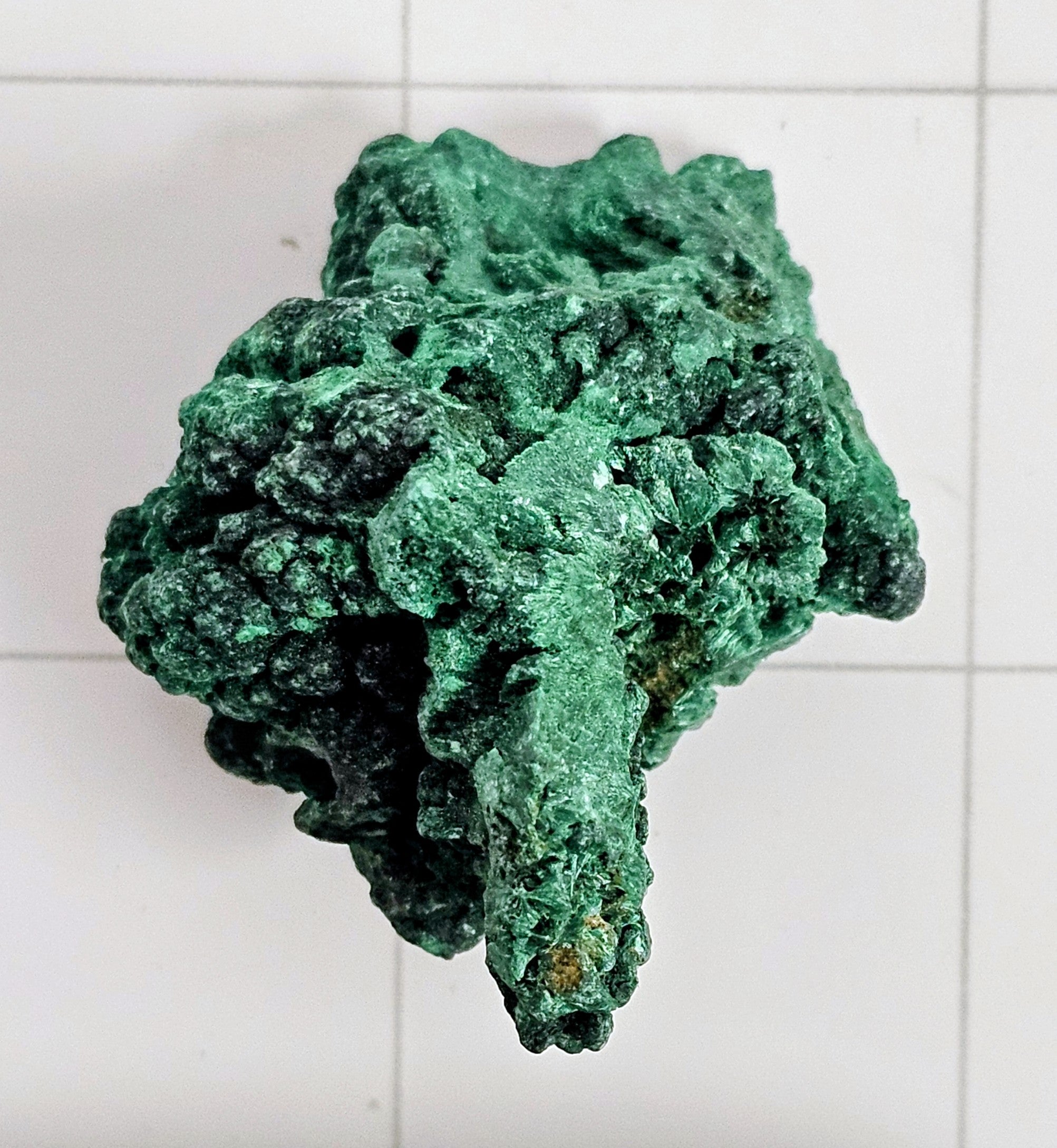 Velvet Malachite
