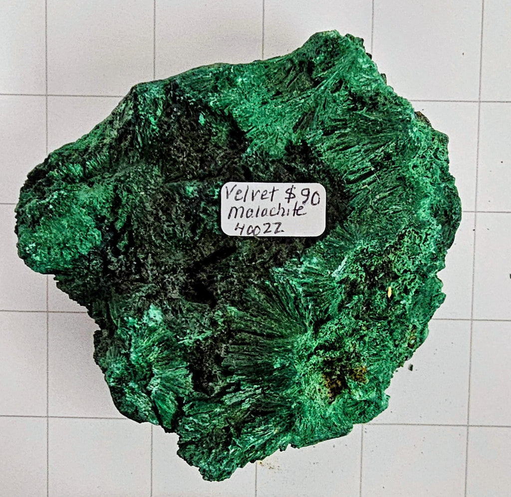 Velvet Malachite
