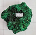 Velvet Malachite