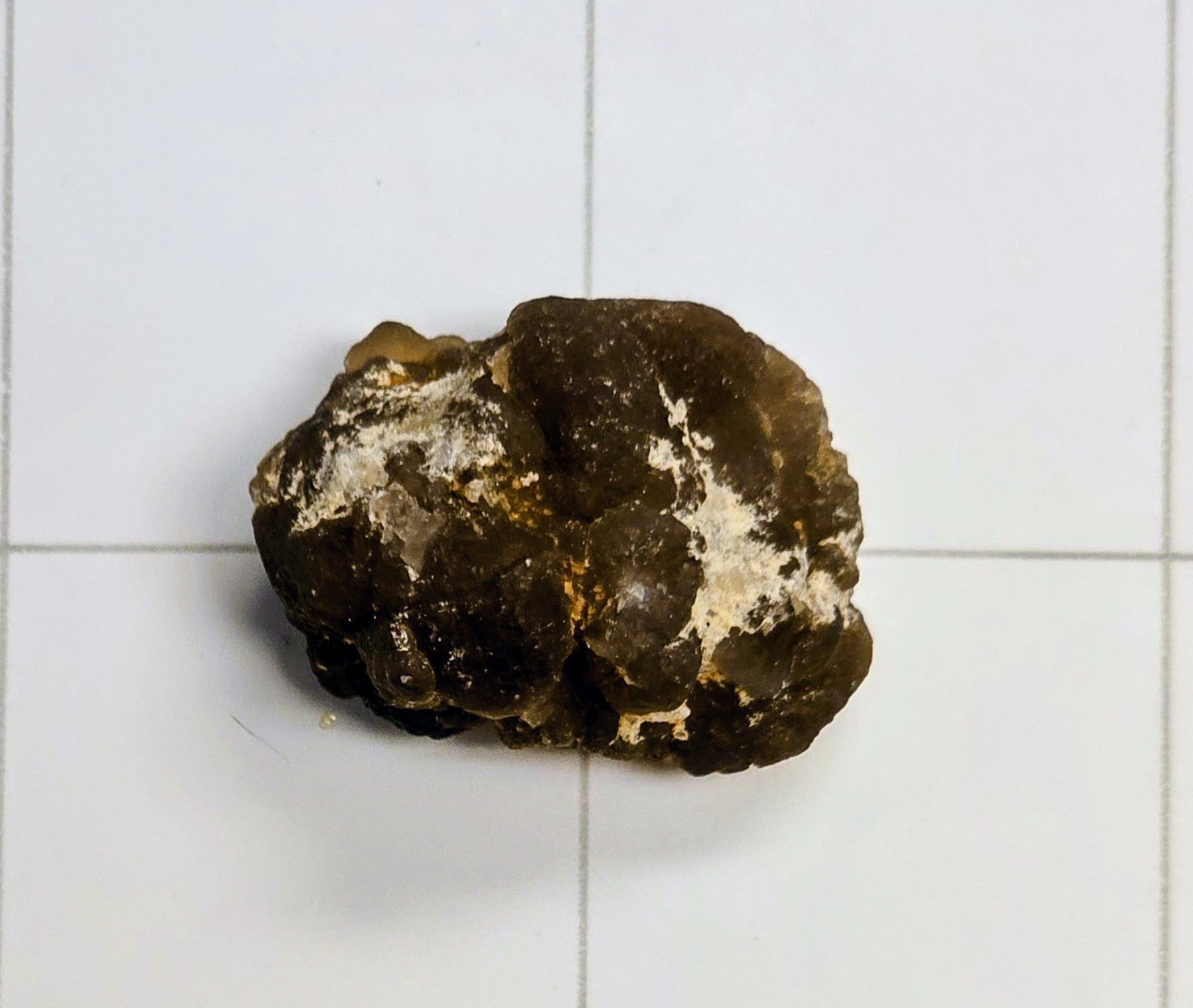 Egyptian Panda Agate