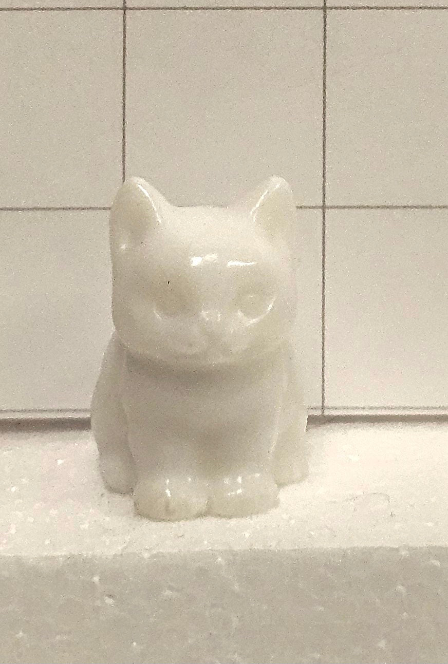 Snow Quartz kitten