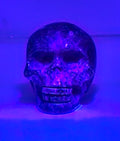Syenite skull ... UV