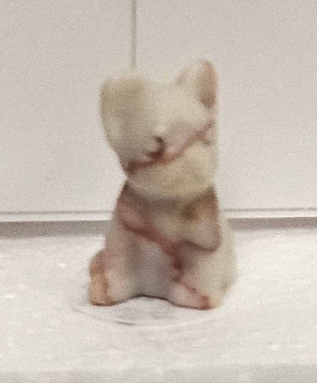 Veined Jasper puppy