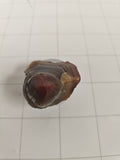 Raw Lake Superior Agate
