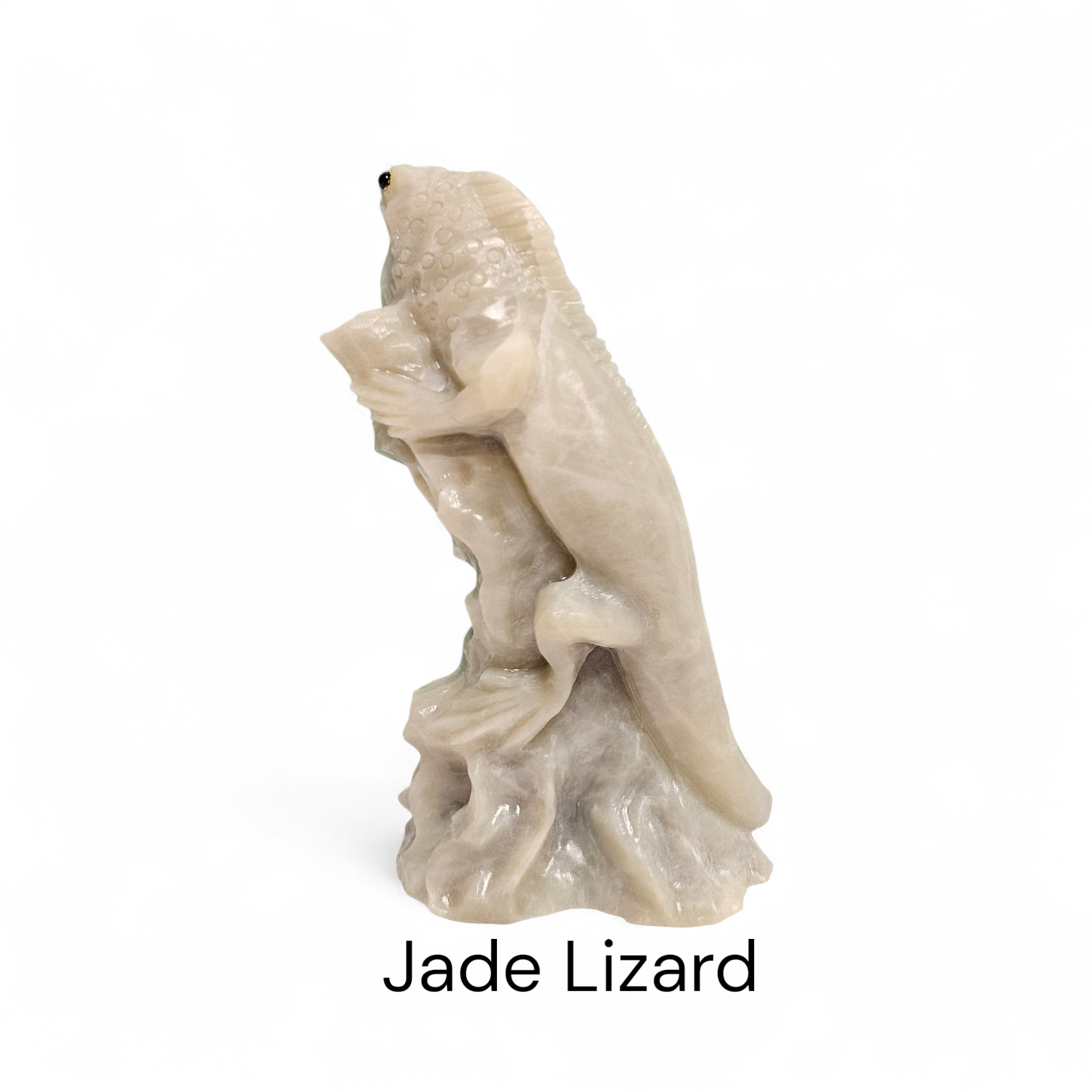 Jade Lizard