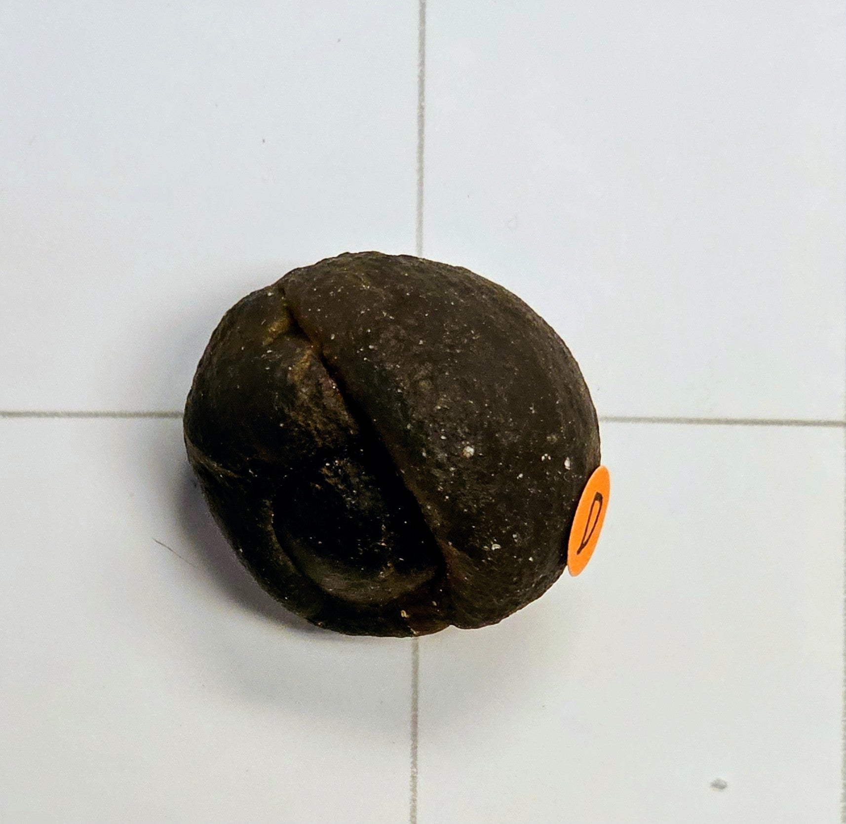Egyptian Panda Agate