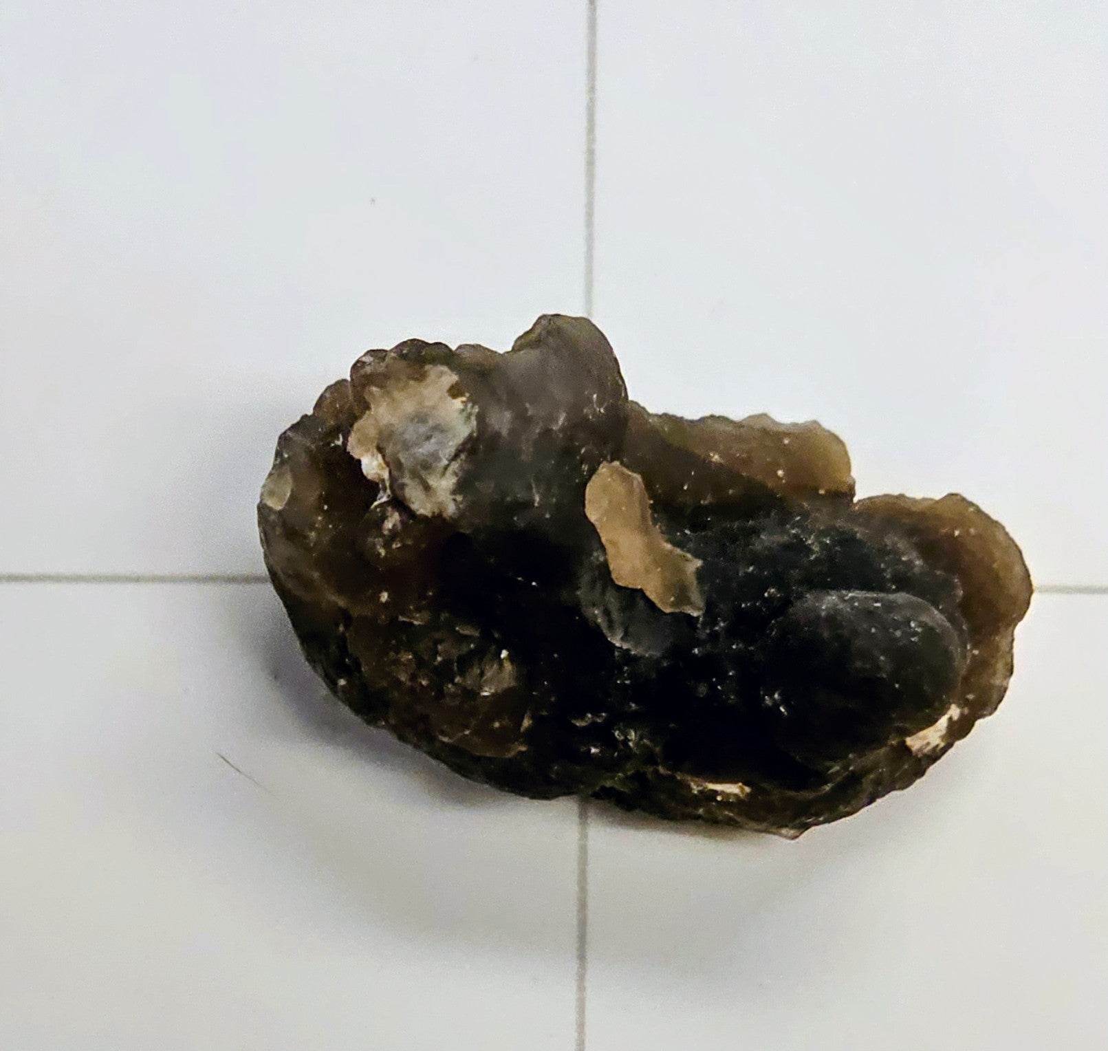 Egyptian Panda Agate