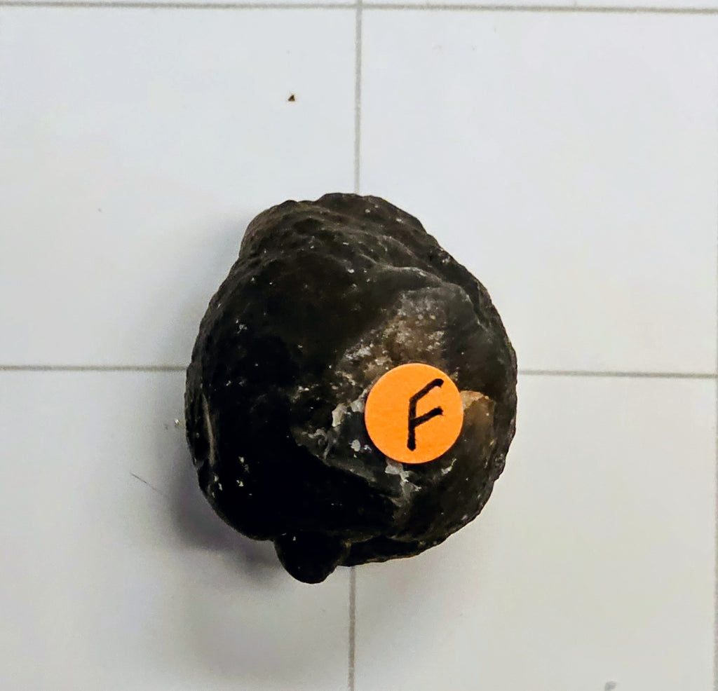 Egyptian Panda Agate
