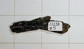 Black Kyanite