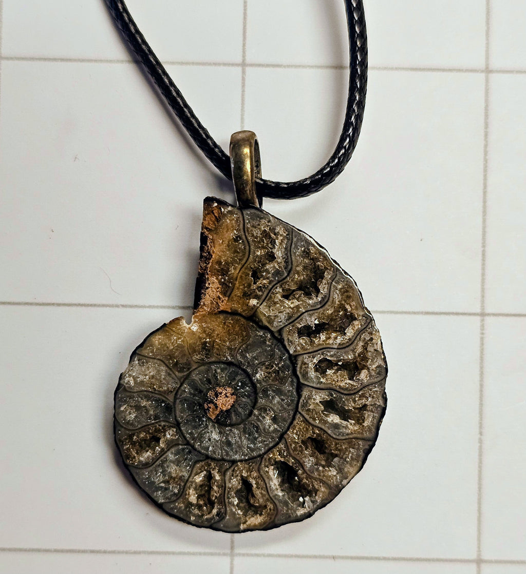 Ammonite/ Ammolite necklace