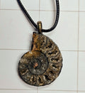 Ammonite/ Ammolite necklace