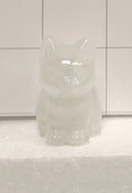 Crystal Quartz kitten