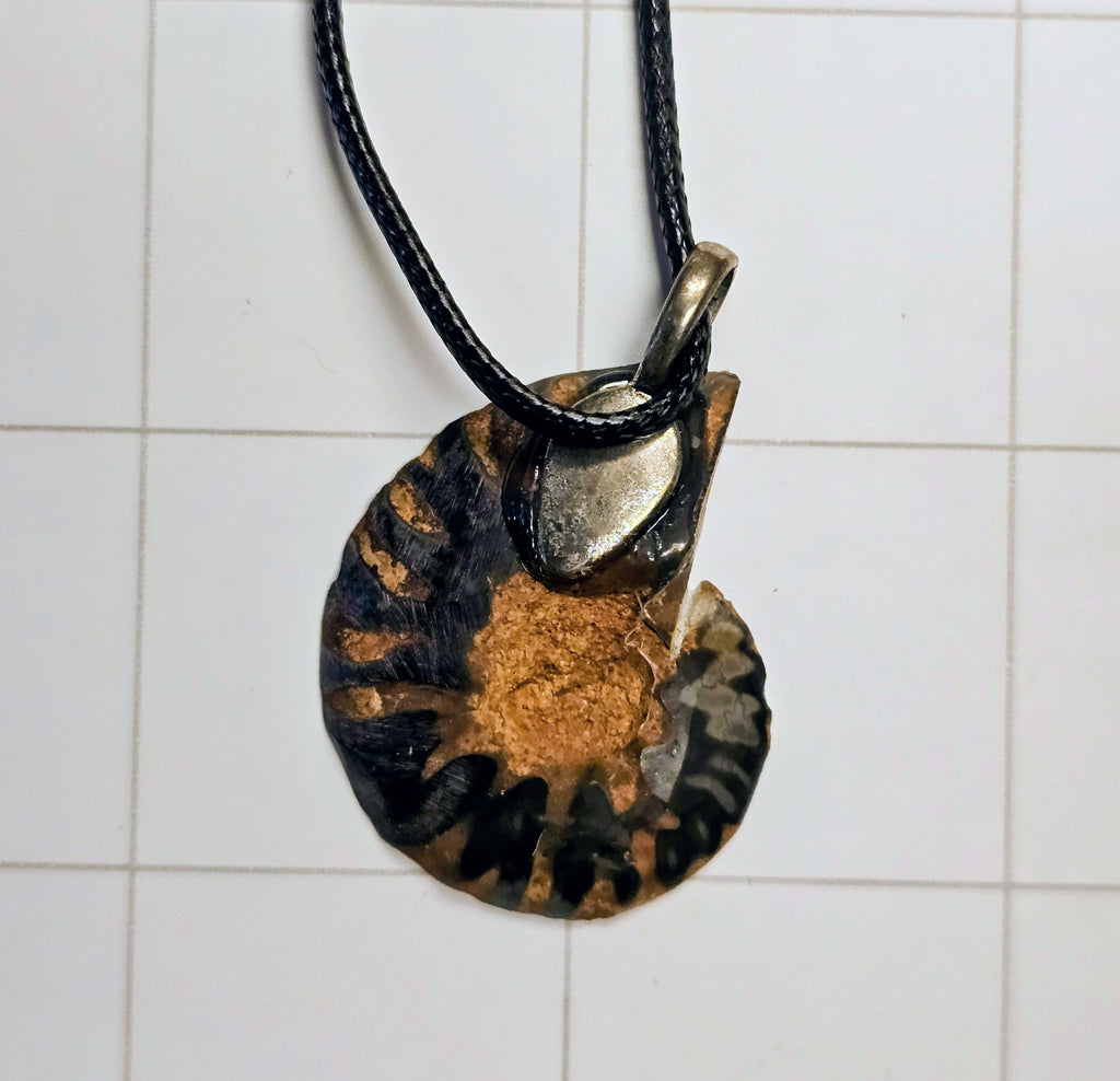 Ammonite/ Ammolite necklace