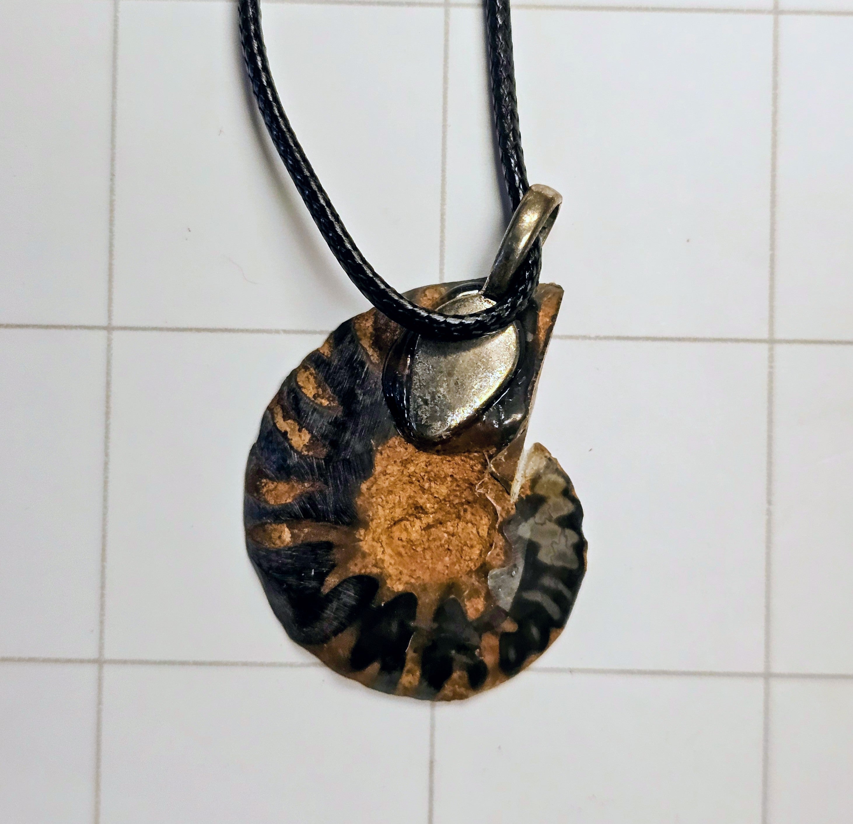 Ammonite/ Ammolite necklace