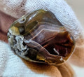 Lake Superior Agate