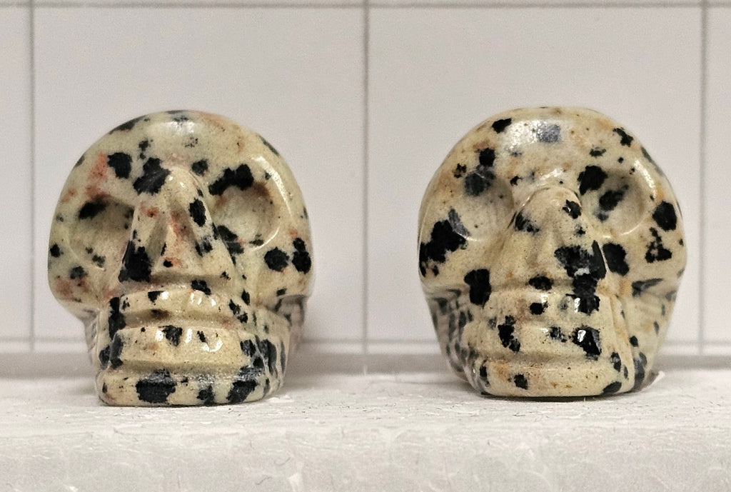 Dalmatian stone Skull