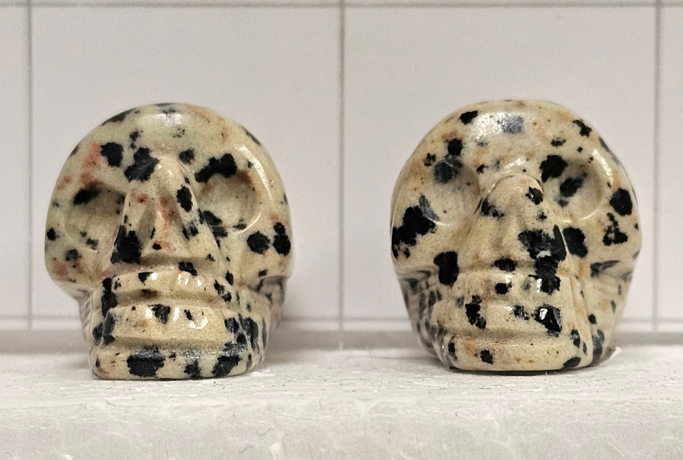 Dalmatian stone Skull