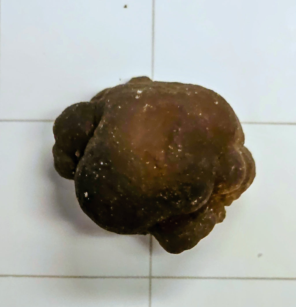 Egyptian Panda Agate