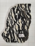 Zebra stone slab