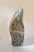Bumble Bee Jasper Freeform