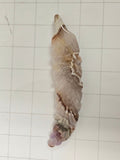 Amethyst carved Feather