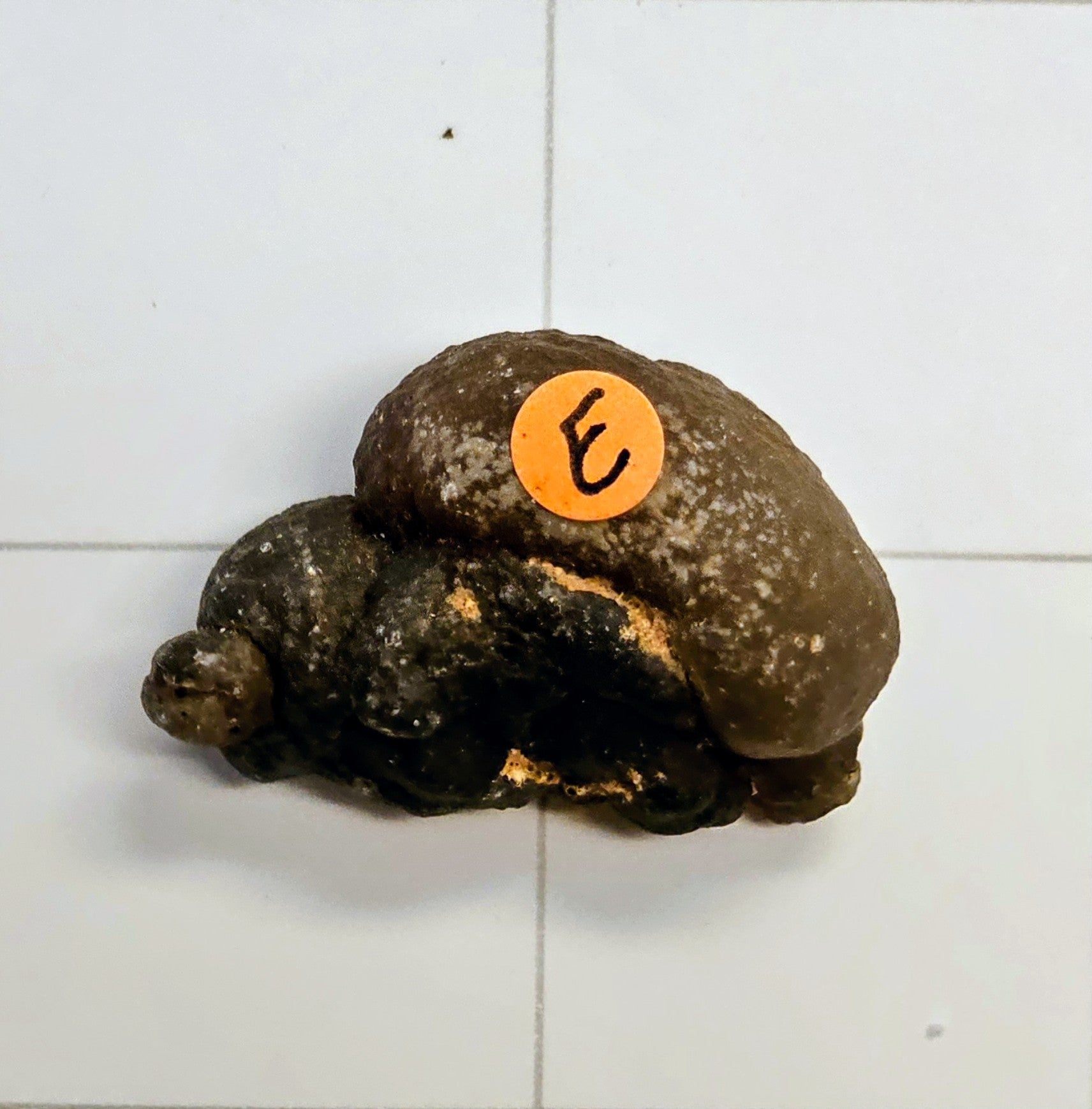 Egyptian Panda Agate