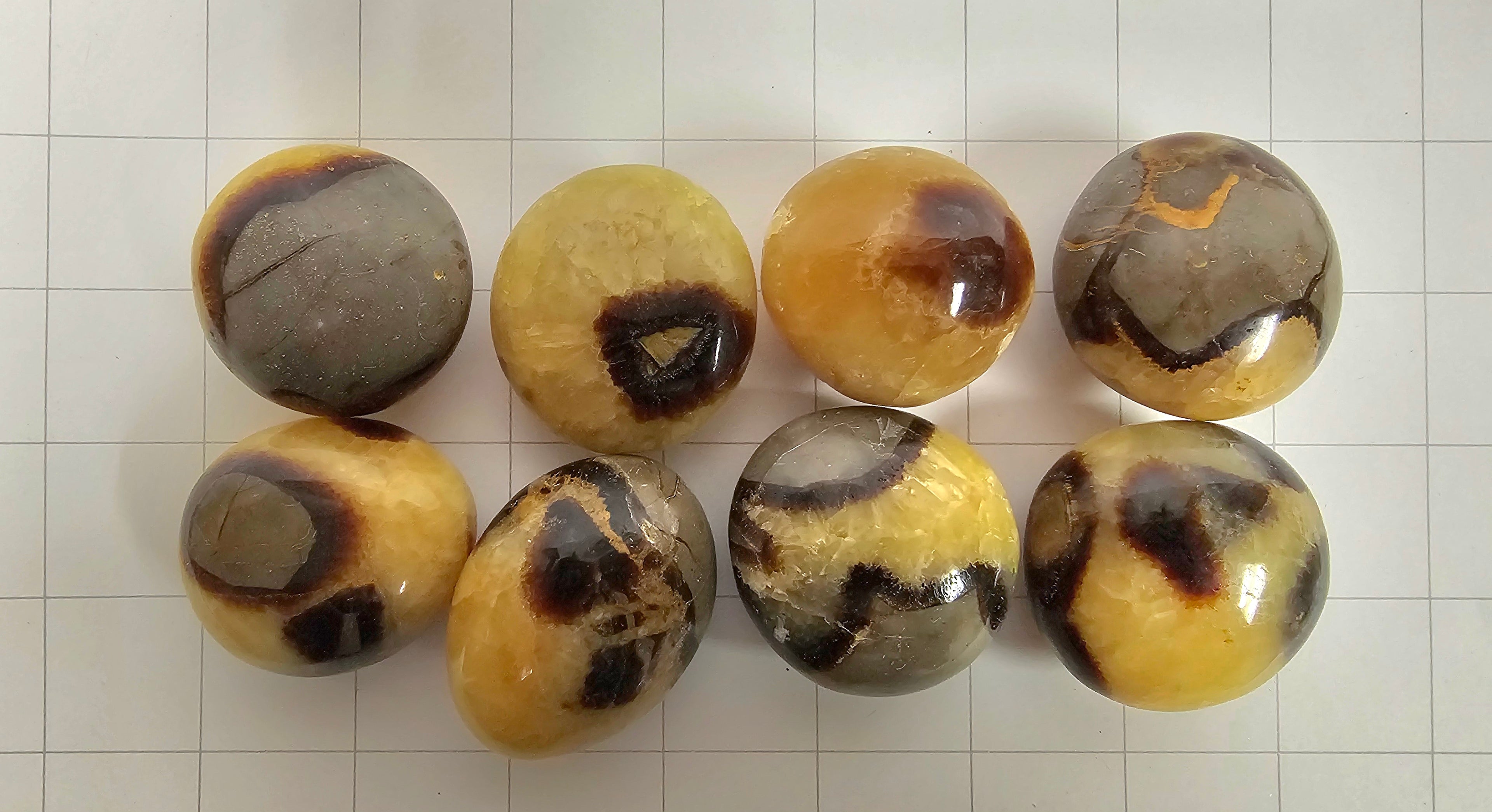 Septarian Palm stones