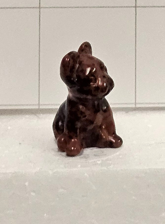 Mahogany Obsidian Puppy