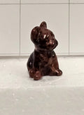Mahogany Obsidian Puppy
