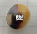 Septarian Palm stone
