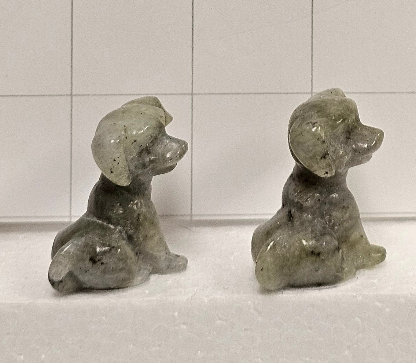 Labradorite carved Puppies