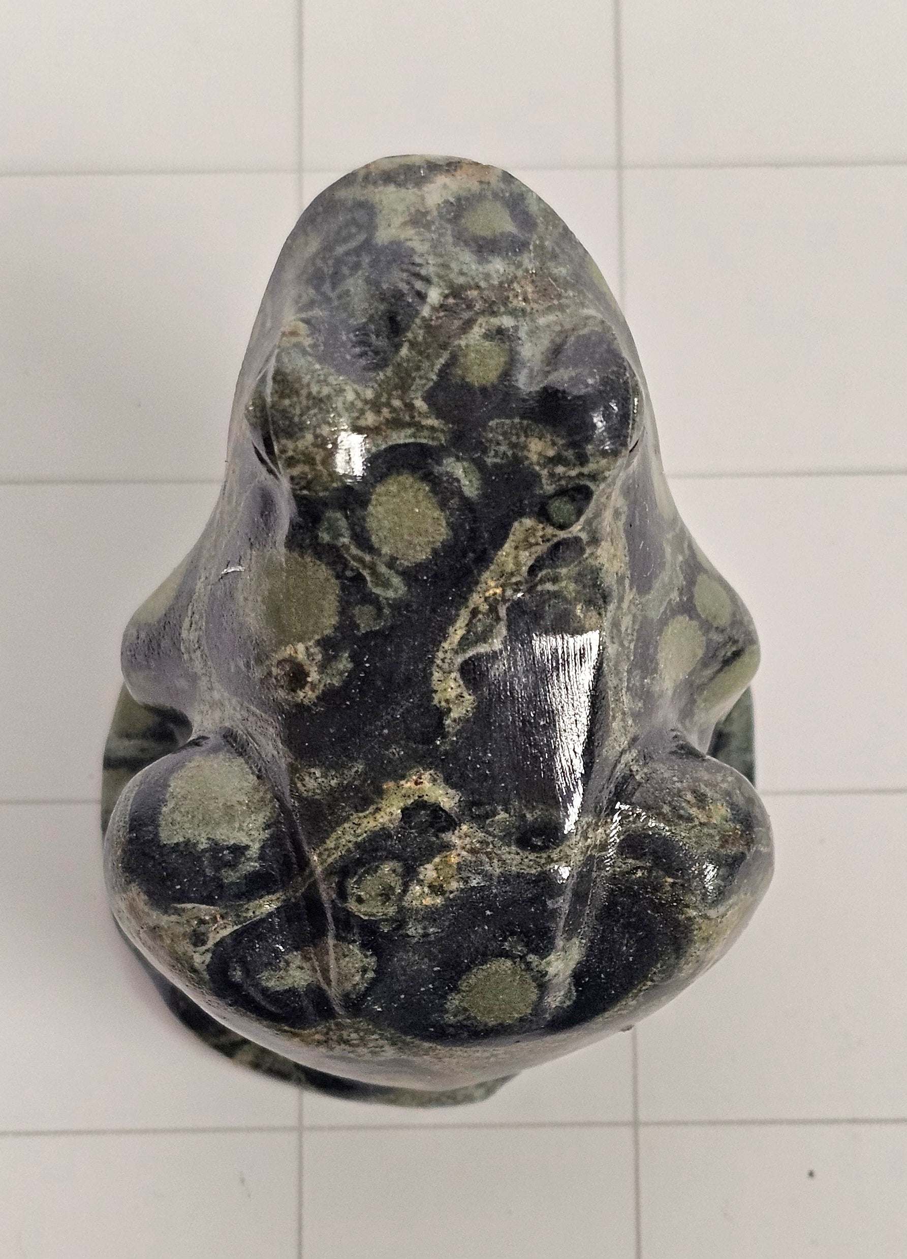 Kambaba Jasper Frog