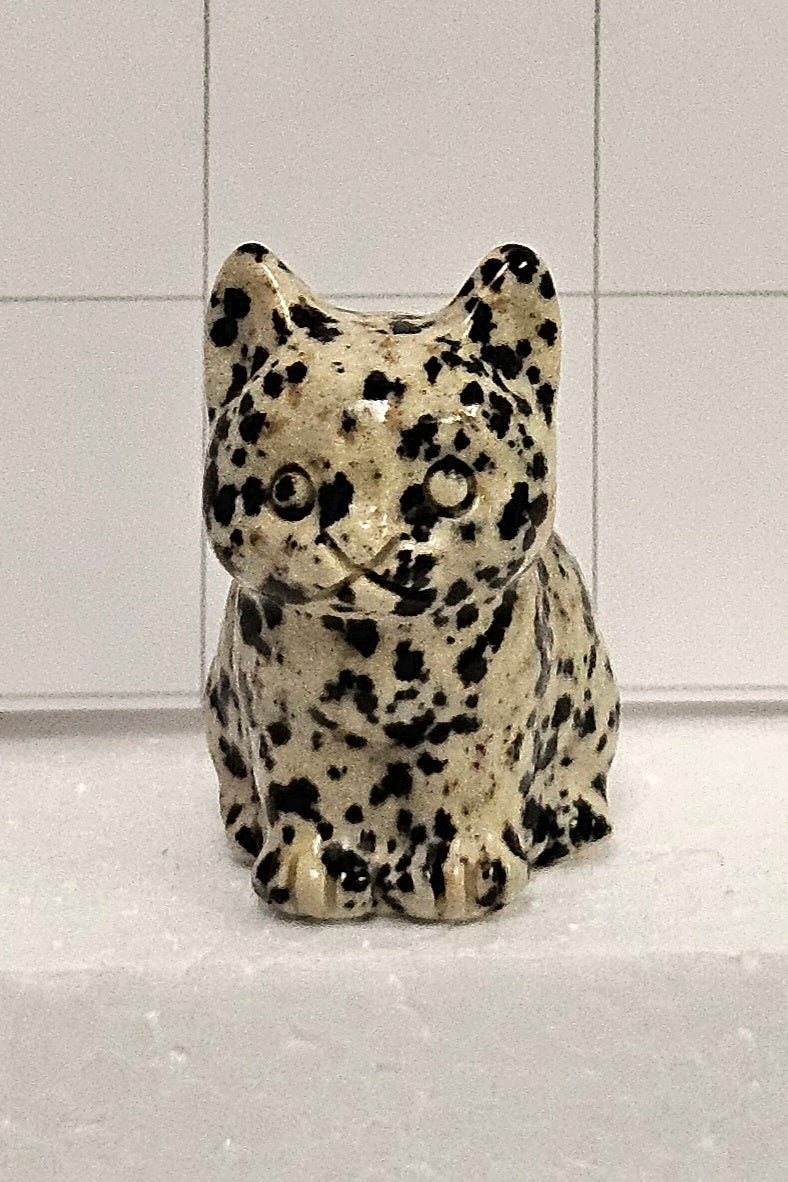 Dalmatian kitten